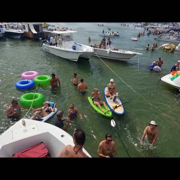 Meet your Posher, Tara - Picture 14 of 16